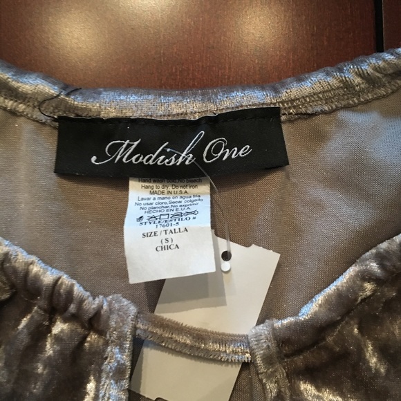 💕NWT Champagne Taupe Velvet Bodysuit - Picture 3 of 3